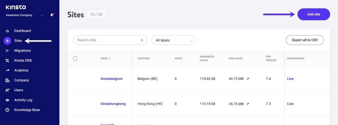 PURCHASE KINSTA WEB HOSTING 1